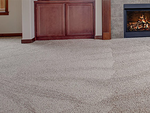 Professional carpet cleaning