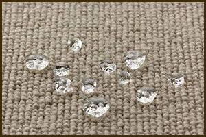 water beads on protected carpet